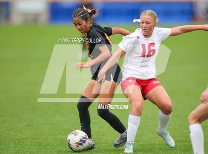 Thumbnail 2 in Ogden vs. Manti (UHSAA 3A Final) photogallery.