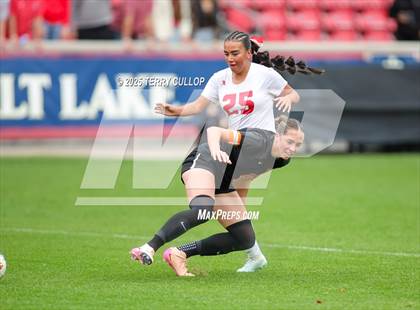 Thumbnail 2 in Ogden vs. Manti (UHSAA 3A Final) photogallery.