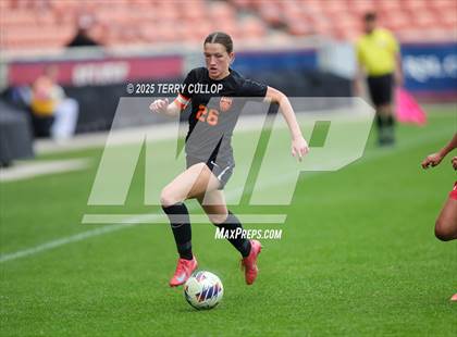 Thumbnail 1 in Ogden vs. Manti (UHSAA 3A Final) photogallery.