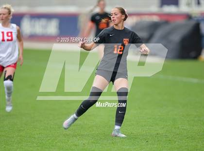 Thumbnail 2 in Ogden vs. Manti (UHSAA 3A Final) photogallery.