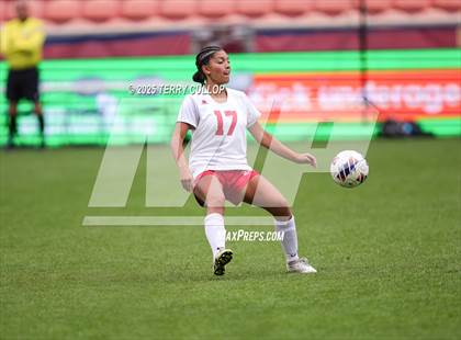 Thumbnail 1 in Ogden vs. Manti (UHSAA 3A Final) photogallery.