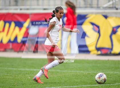 Thumbnail 3 in Ogden vs. Manti (UHSAA 3A Final) photogallery.