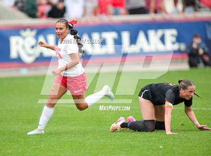 Thumbnail 1 in Ogden vs. Manti (UHSAA 3A Final) photogallery.