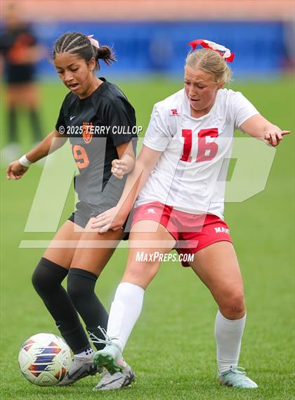 Thumbnail 1 in Ogden vs. Manti (UHSAA 3A Final) photogallery.