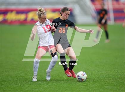 Thumbnail 3 in Ogden vs. Manti (UHSAA 3A Final) photogallery.