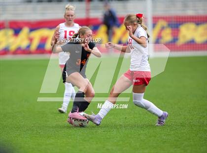 Thumbnail 1 in Ogden vs. Manti (UHSAA 3A Final) photogallery.