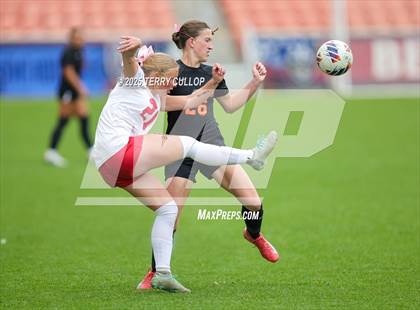 Thumbnail 1 in Ogden vs. Manti (UHSAA 3A Final) photogallery.