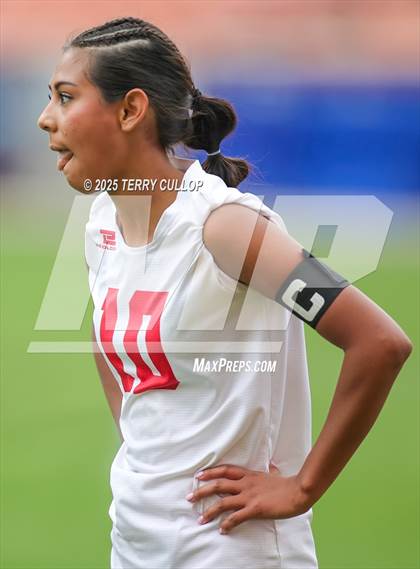 Thumbnail 1 in Ogden vs. Manti (UHSAA 3A Final) photogallery.