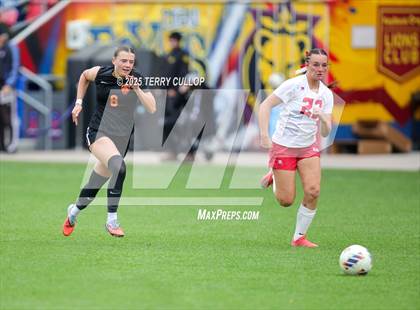 Thumbnail 3 in Ogden vs. Manti (UHSAA 3A Final) photogallery.