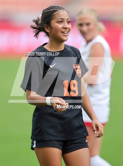 Thumbnail 2 in Ogden vs. Manti (UHSAA 3A Final) photogallery.