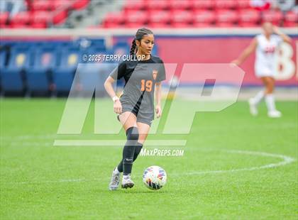 Thumbnail 2 in Ogden vs. Manti (UHSAA 3A Final) photogallery.