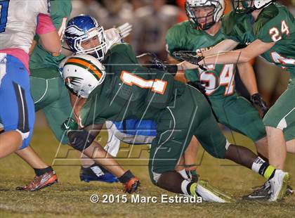 Thumbnail 3 in East Lake @ Seminole photogallery.