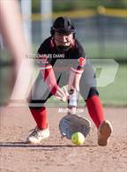 Photo from the gallery "Montgomery @ Healdsburg"