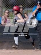 Photo from the gallery "Montgomery @ Healdsburg"