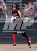 Photo from the gallery "Montgomery @ Healdsburg"