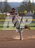 Photo from the gallery "Montgomery @ Healdsburg"