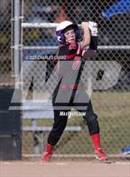 Photo from the gallery "Montgomery @ Healdsburg"