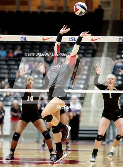 Thumbnail 1 in Bushland vs. Argyle  photogallery.