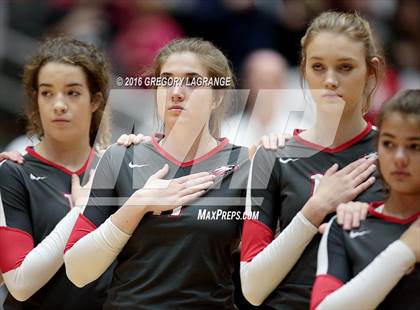 Thumbnail 1 in Bushland vs. Argyle  photogallery.
