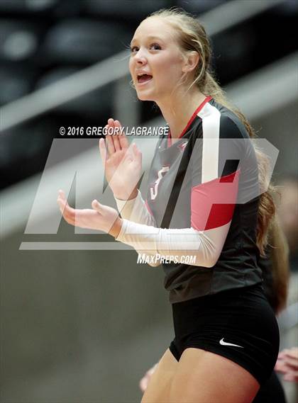 Thumbnail 2 in Bushland vs. Argyle  photogallery.