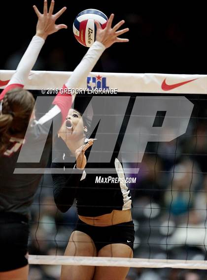 Thumbnail 2 in Bushland vs. Argyle  photogallery.