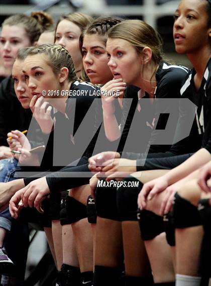 Thumbnail 3 in Bushland vs. Argyle  photogallery.