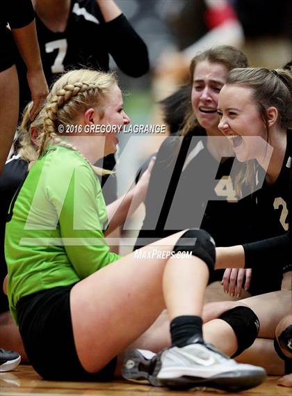 Thumbnail 3 in Bushland vs. Argyle  photogallery.
