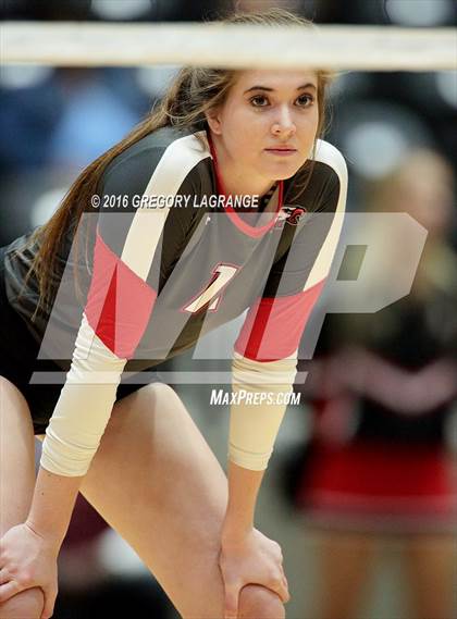 Thumbnail 1 in Bushland vs. Argyle  photogallery.