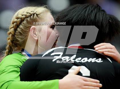 Thumbnail 1 in Bushland vs. Argyle  photogallery.