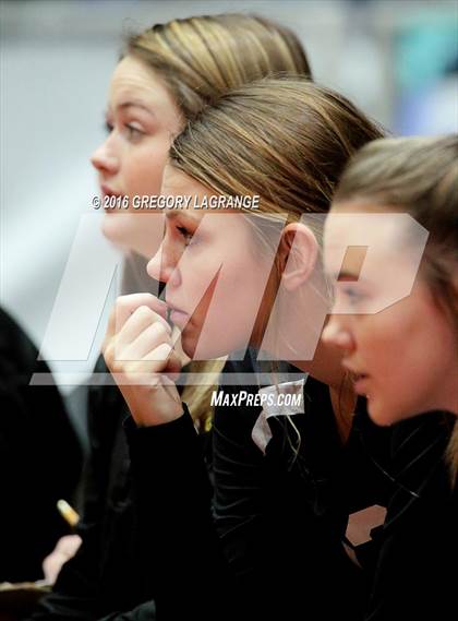 Thumbnail 2 in Bushland vs. Argyle  photogallery.