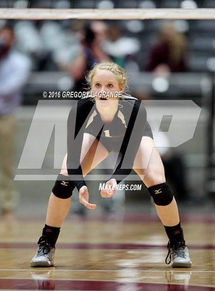 Thumbnail 3 in Bushland vs. Argyle  photogallery.