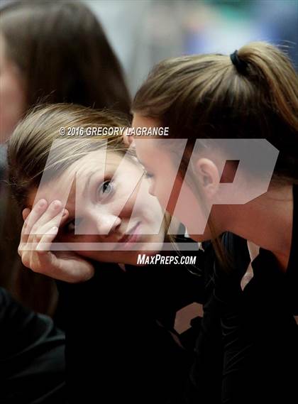 Thumbnail 1 in Bushland vs. Argyle  photogallery.