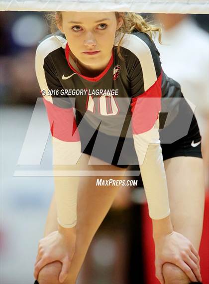 Thumbnail 2 in Bushland vs. Argyle  photogallery.