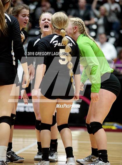 Thumbnail 3 in Bushland vs. Argyle  photogallery.