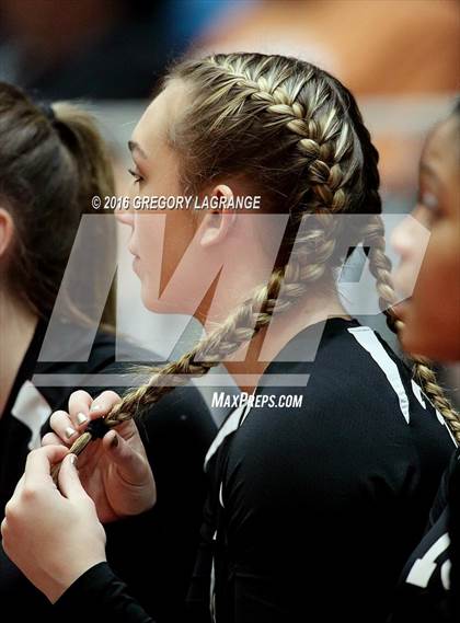 Thumbnail 3 in Bushland vs. Argyle  photogallery.
