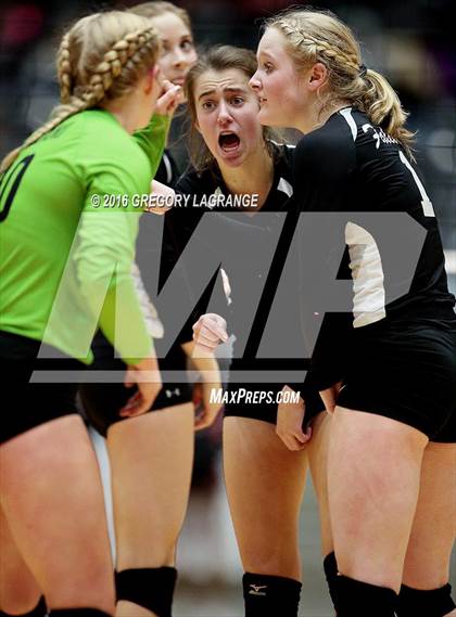 Thumbnail 1 in Bushland vs. Argyle  photogallery.