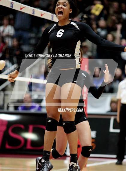 Thumbnail 1 in Bushland vs. Argyle  photogallery.