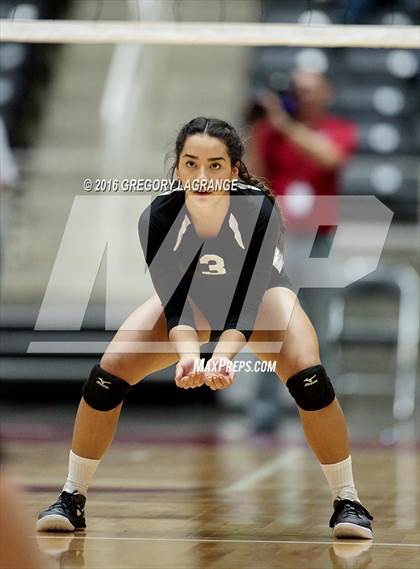 Thumbnail 2 in Bushland vs. Argyle  photogallery.