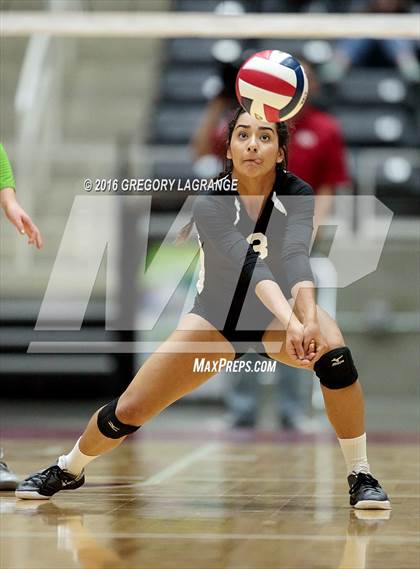 Thumbnail 1 in Bushland vs. Argyle  photogallery.