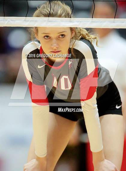 Thumbnail 1 in Bushland vs. Argyle  photogallery.