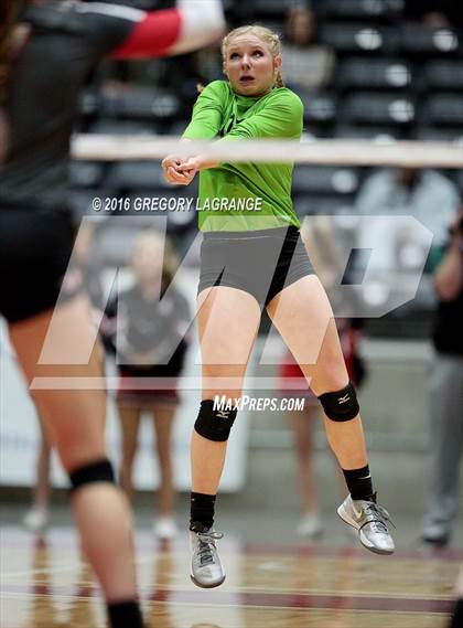 Thumbnail 1 in Bushland vs. Argyle  photogallery.