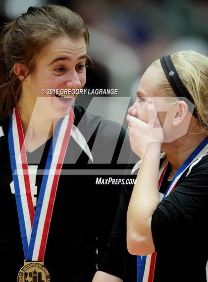 Thumbnail 1 in Bushland vs. Argyle  photogallery.