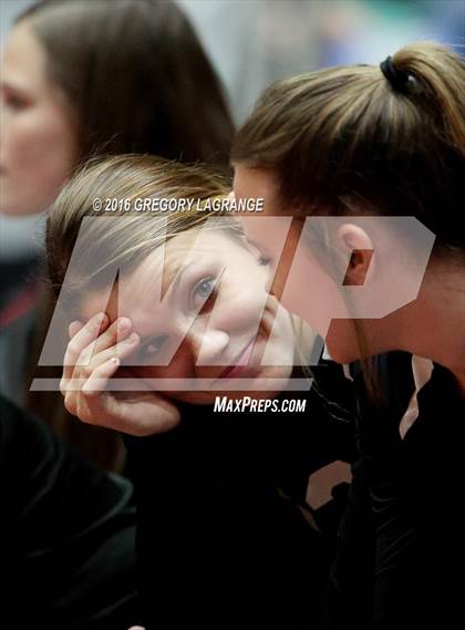Thumbnail 2 in Bushland vs. Argyle  photogallery.