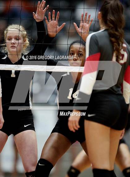 Thumbnail 2 in Bushland vs. Argyle  photogallery.