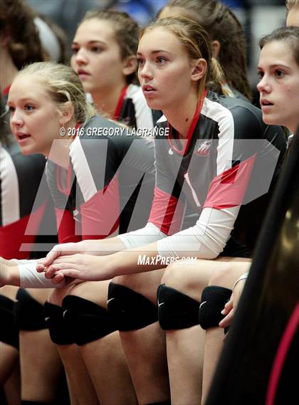Thumbnail 3 in Bushland vs. Argyle  photogallery.