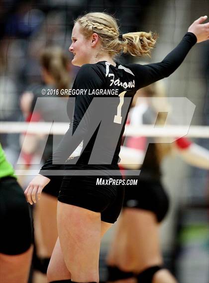 Thumbnail 2 in Bushland vs. Argyle  photogallery.