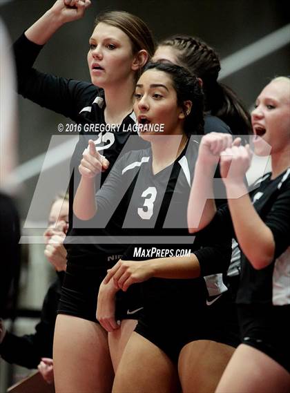 Thumbnail 1 in Bushland vs. Argyle  photogallery.