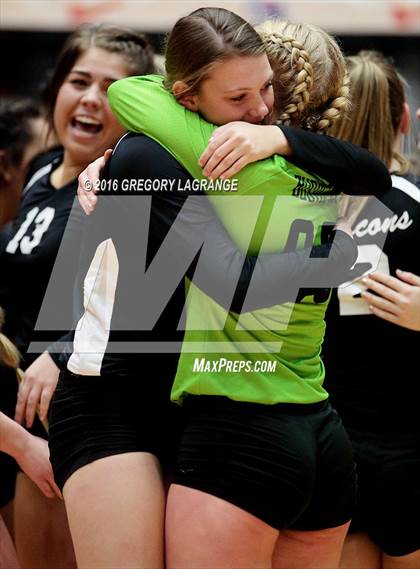 Thumbnail 3 in Bushland vs. Argyle  photogallery.