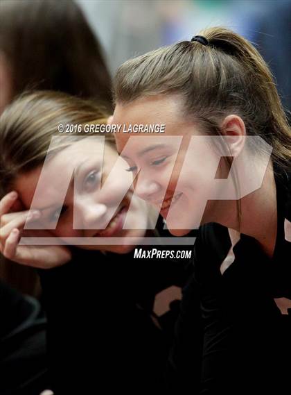 Thumbnail 3 in Bushland vs. Argyle  photogallery.
