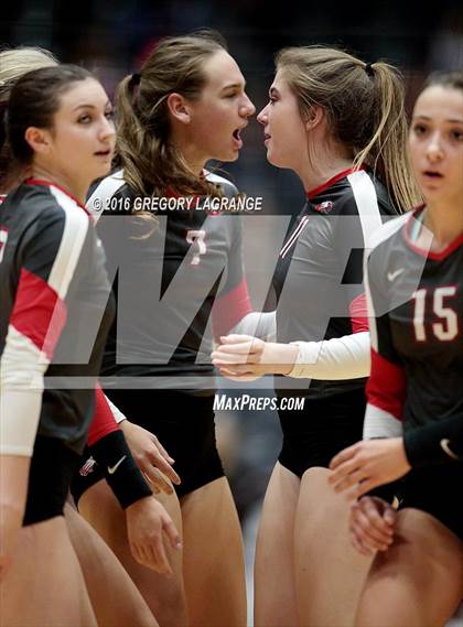 Thumbnail 1 in Bushland vs. Argyle  photogallery.